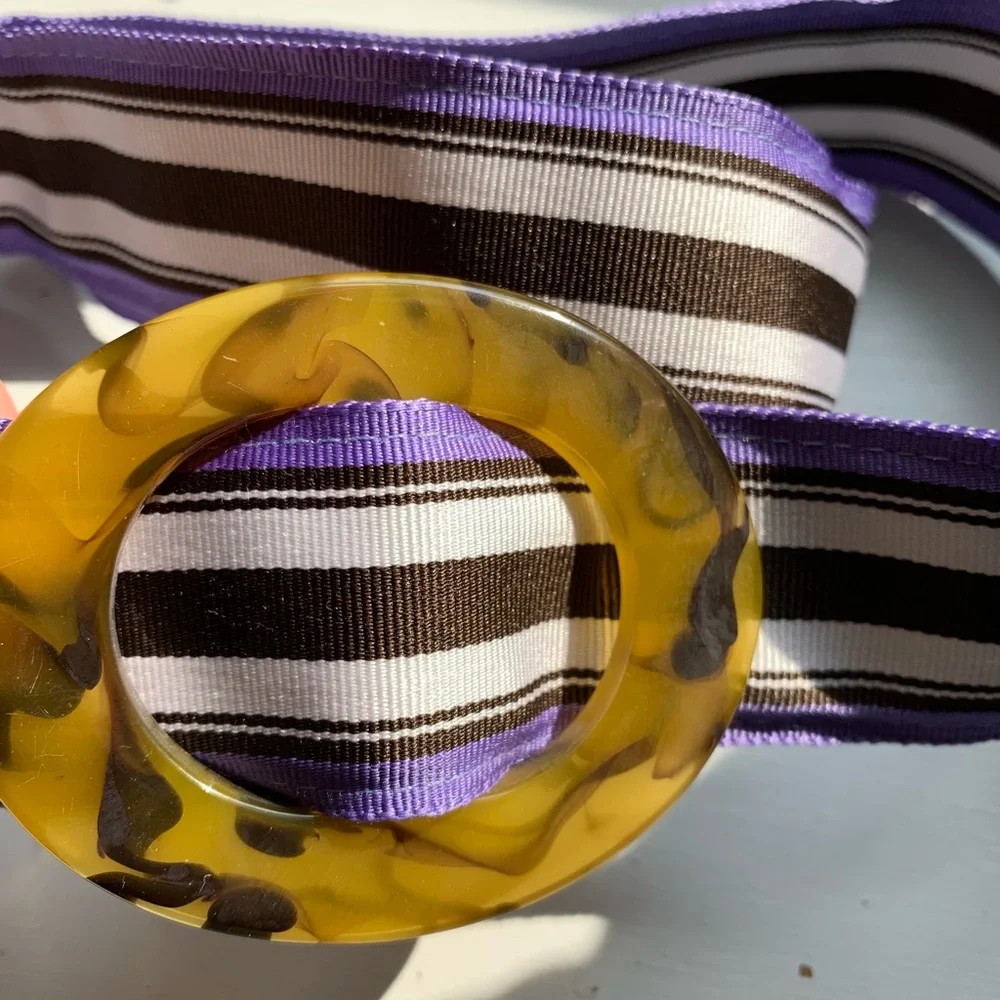 J. Crew Purple and Brown Striped Belt - Picture 2 of 4
